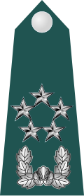 Знак различия маршала Республики Корея