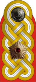 Погон маршала ГДР
