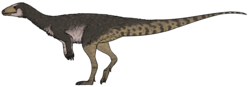 Ahvaytum